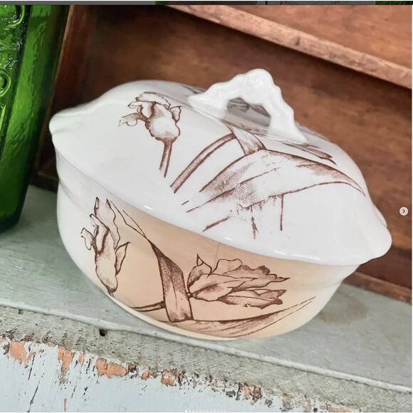 Vintage Brown Transferware Covered SOAP DISH Ironstone Daffodil Flower Vanity - Picture 1 of 9